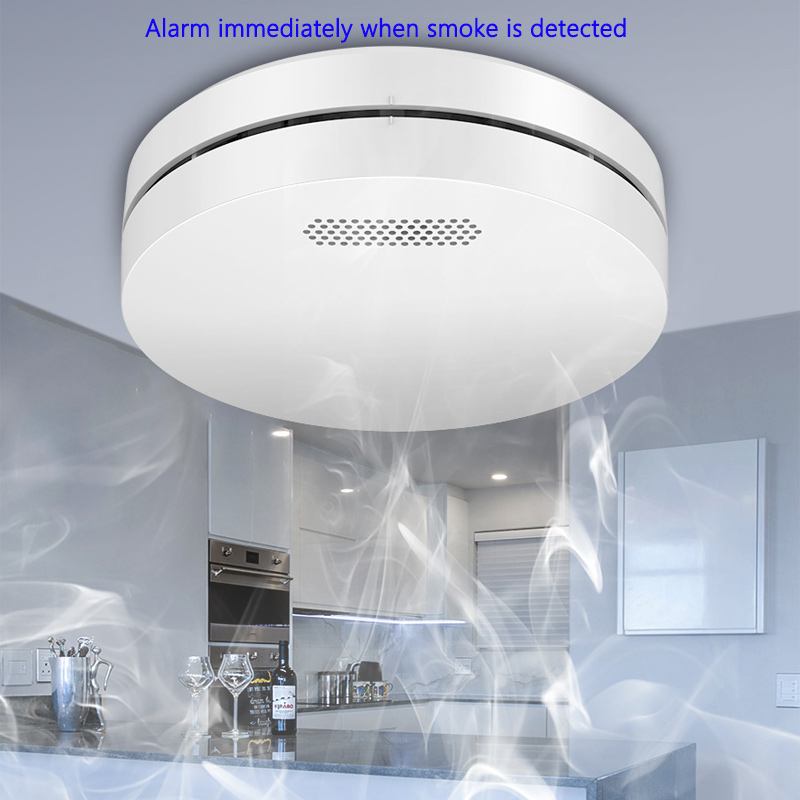 Tuya WiFi Detection Audible an – Lighting Visual recenzja i cena