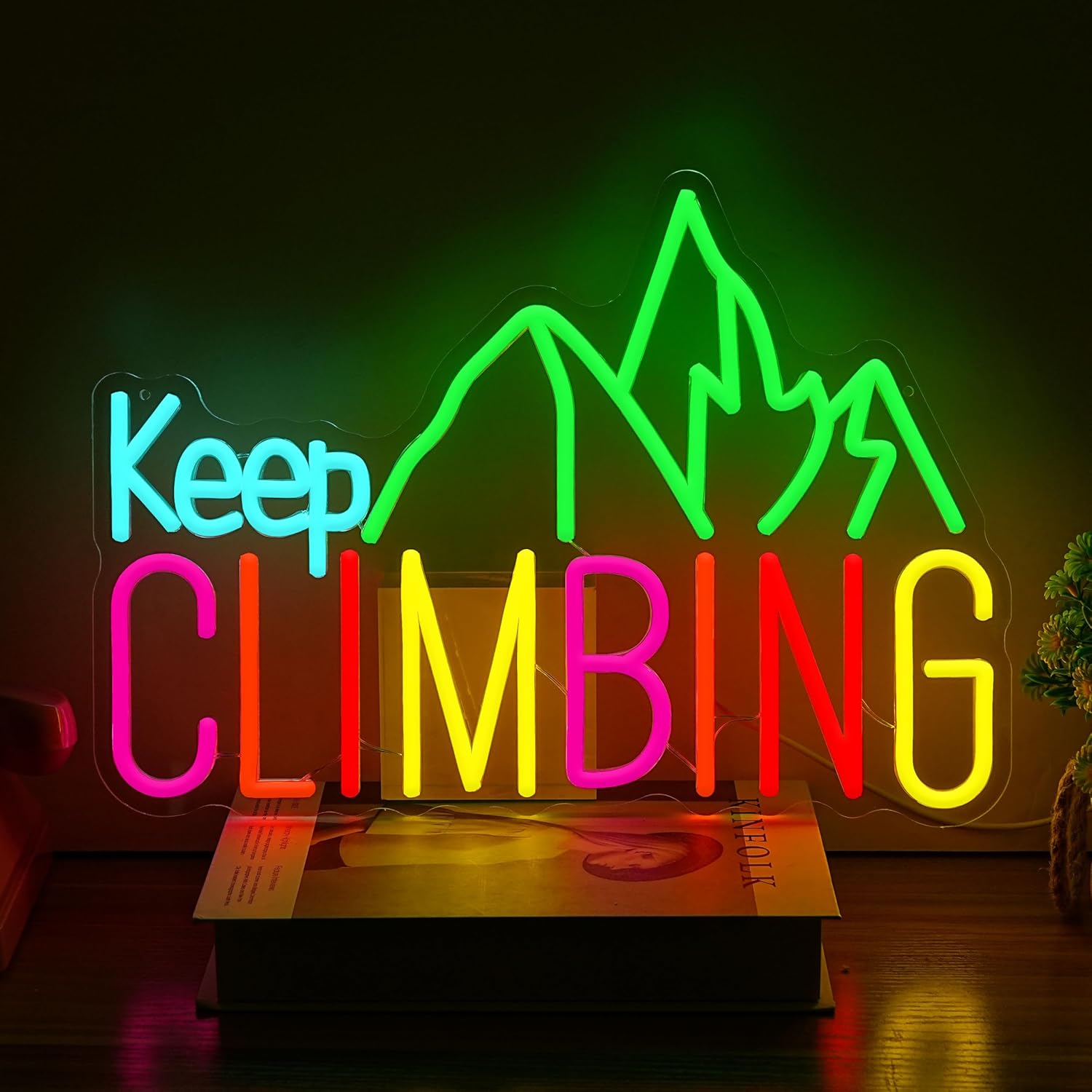 Keep Climbing Neon Sign USB Le – Garden Lighting Decor recenzja i cena